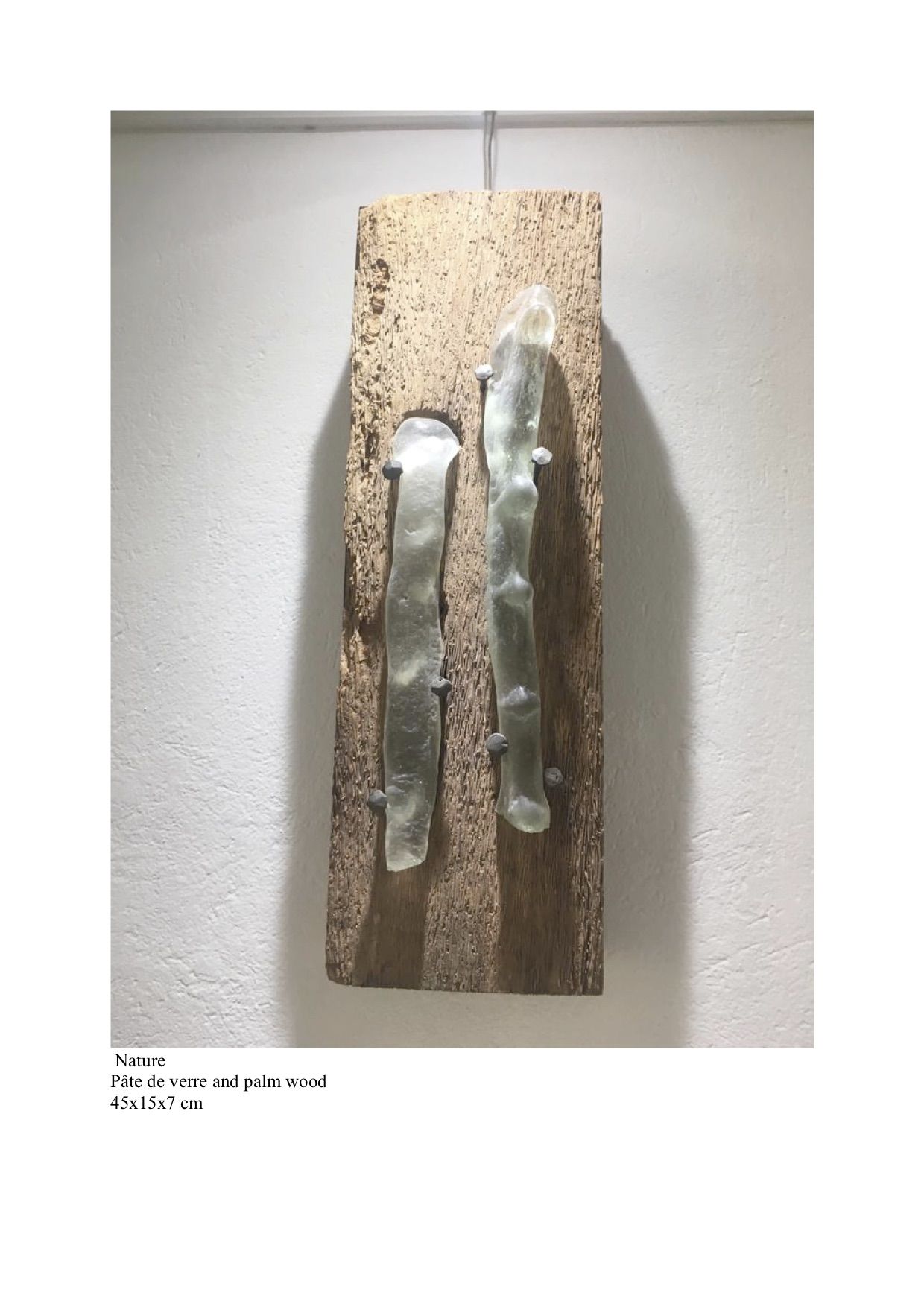 Odoo • une photo avec une légende